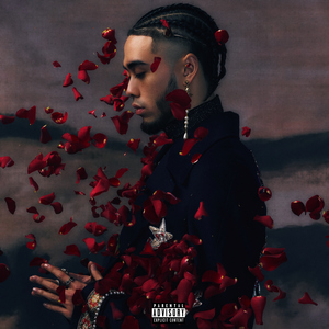 罗丽星克莱尔护士日记英文版
