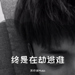 草莓视频app下载在线观看
