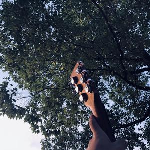 欧美日韩一区二区综合
